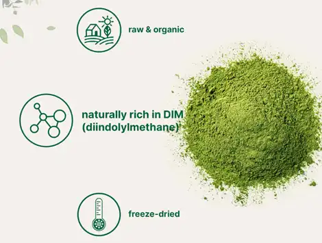 Trusted Broccoli Powder Bulk Supplier for Global Buyers